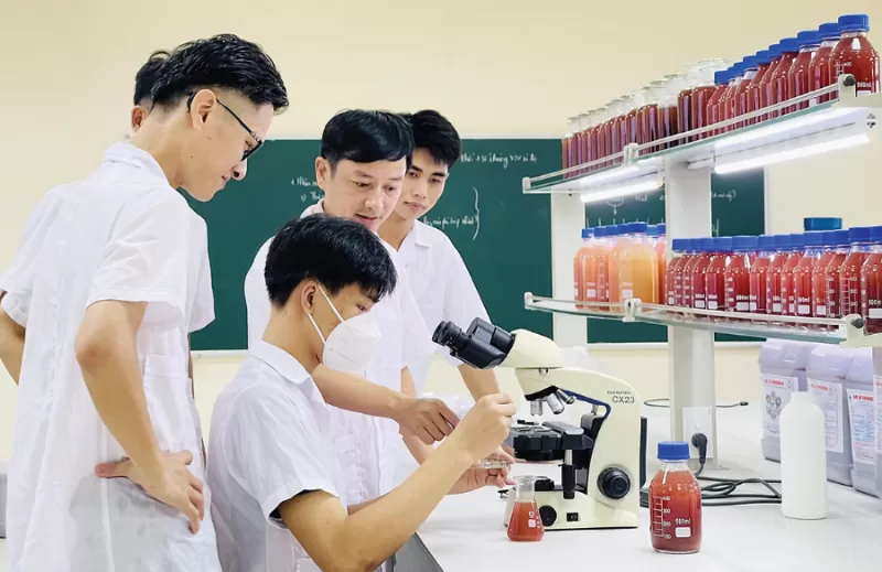 Green economy needs green skills